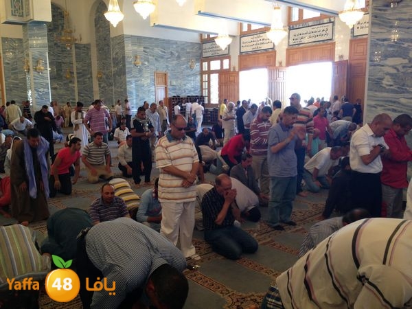 sharmelskhe7 (43).JPG